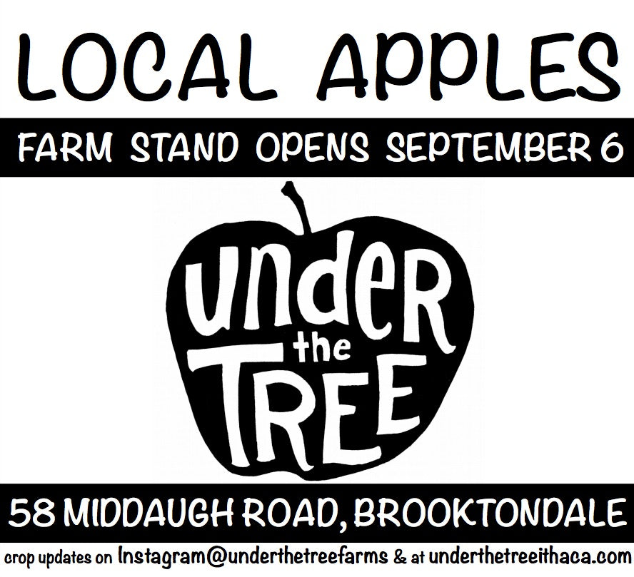 Our farm stand opens September 6!