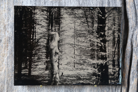 Forest Nymph No.1 Tintype
