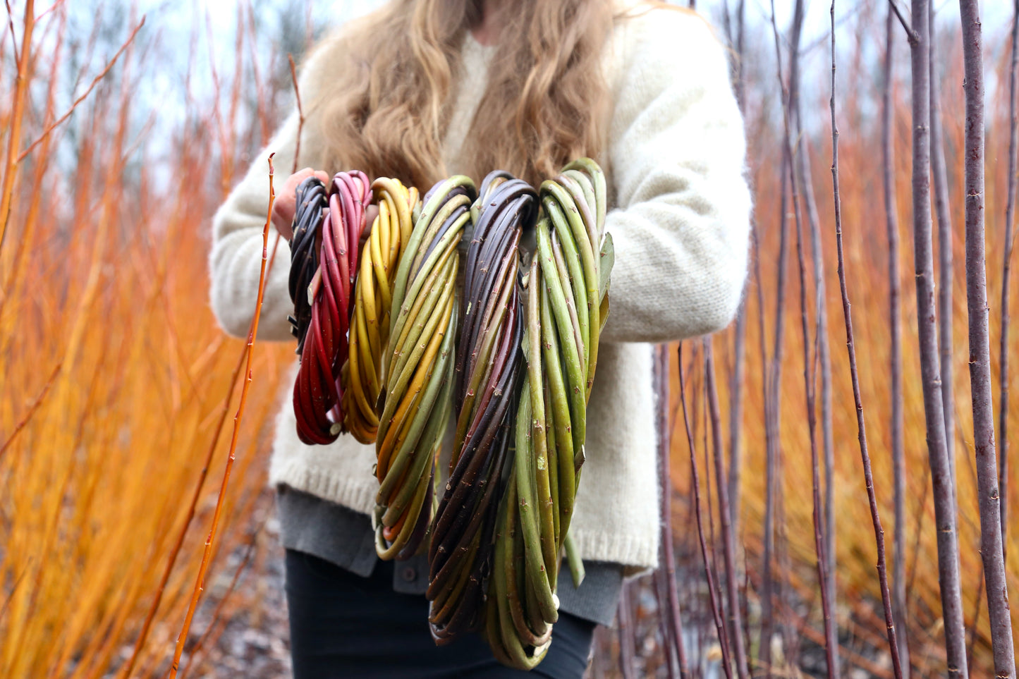 Willow Wreath Weaving Workshop SUNDAY, DECEMBER 10, 2023