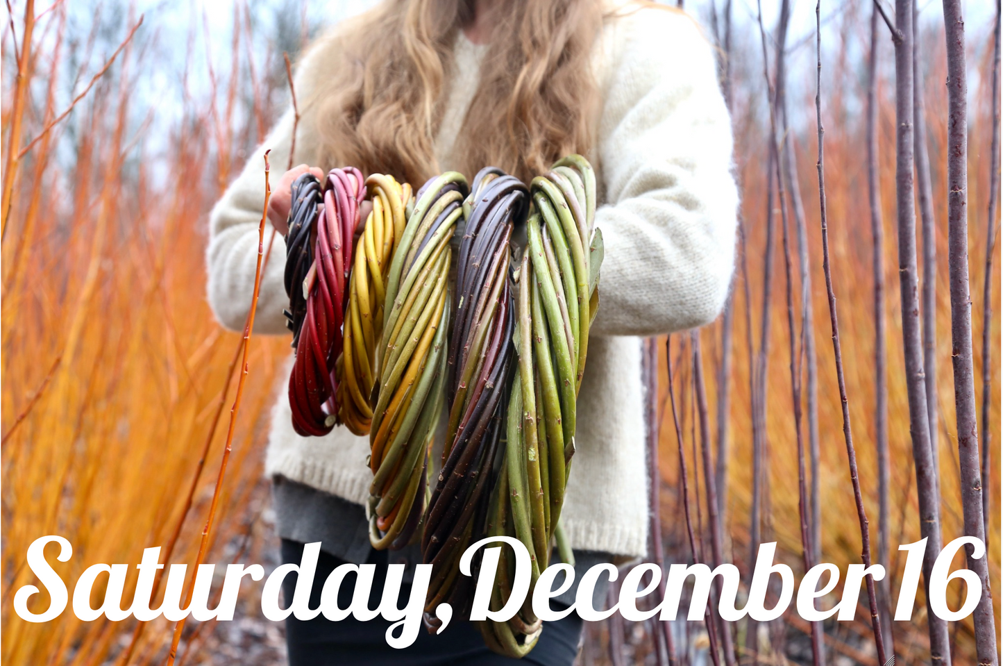 Willow Wreath Weaving Workshop SATURDAY, DECEMBER 16, 2023