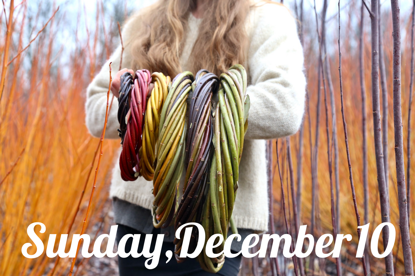 Willow Wreath Weaving Workshop SUNDAY, DECEMBER 10, 2023